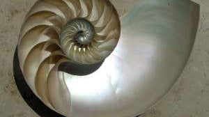 Gemstones and Magic - Beadsofcambay.com