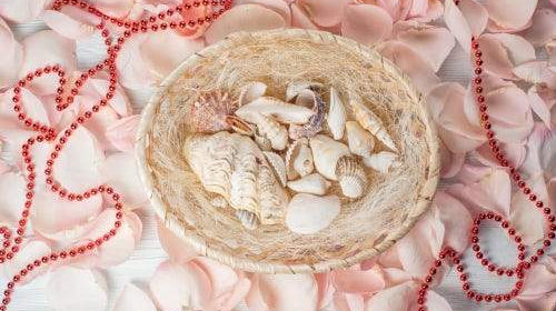 Our Favorite DIY Seashell Jewelry Making Tips and Tricks - Beadsofcambay.com