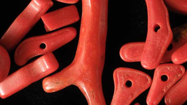 Red Coral Meaning: Healing Properties, Benefits, Uses & More - Beadsofcambay.com