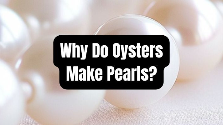 Why Do Oysters Make Pearls? - Beadsofcambay.com