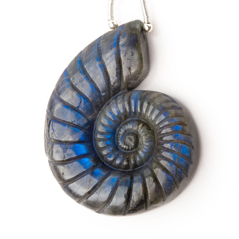 46.5x36.5mm Labradorite Carved Ammonite Shaped Pendant 1 Focal - Beadsofcambay.com