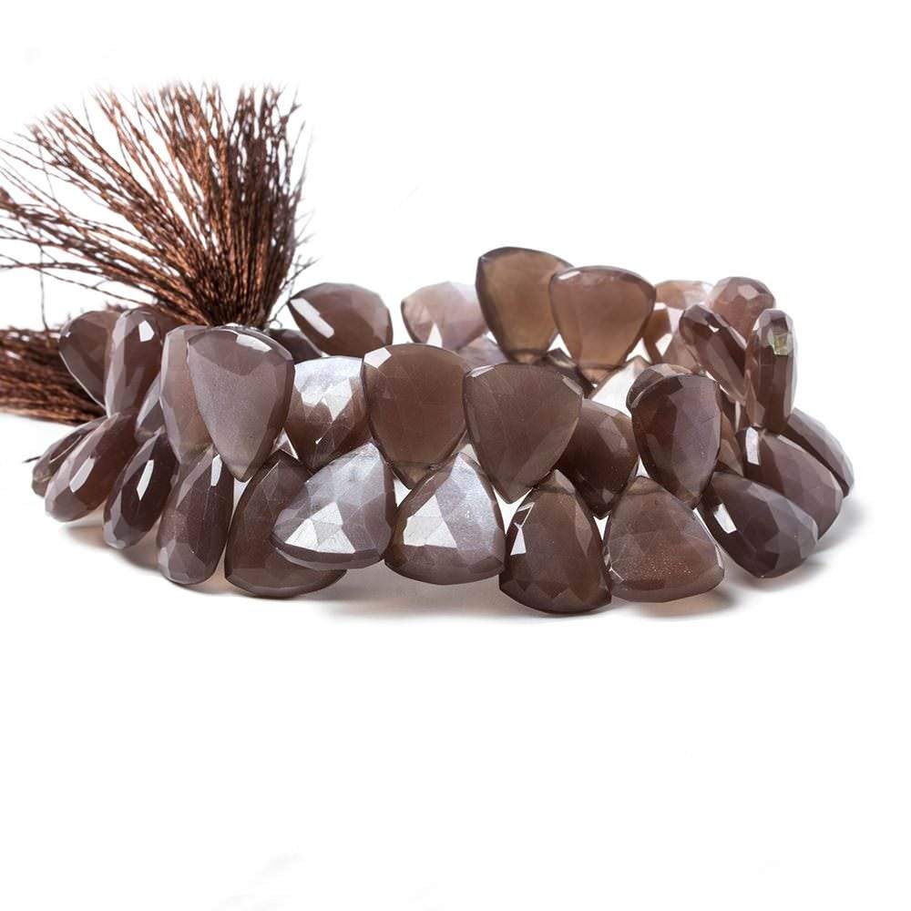15x13-19x15mm Chocolate Moonstone faceted flat trillion beads 8 inch 36 pcs - Beadsofcambay.com