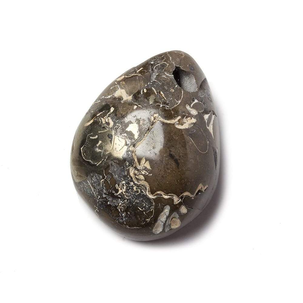 17x26mm Pyritized Ammonite Fossil Focal Bead - Beadsofcambay.com