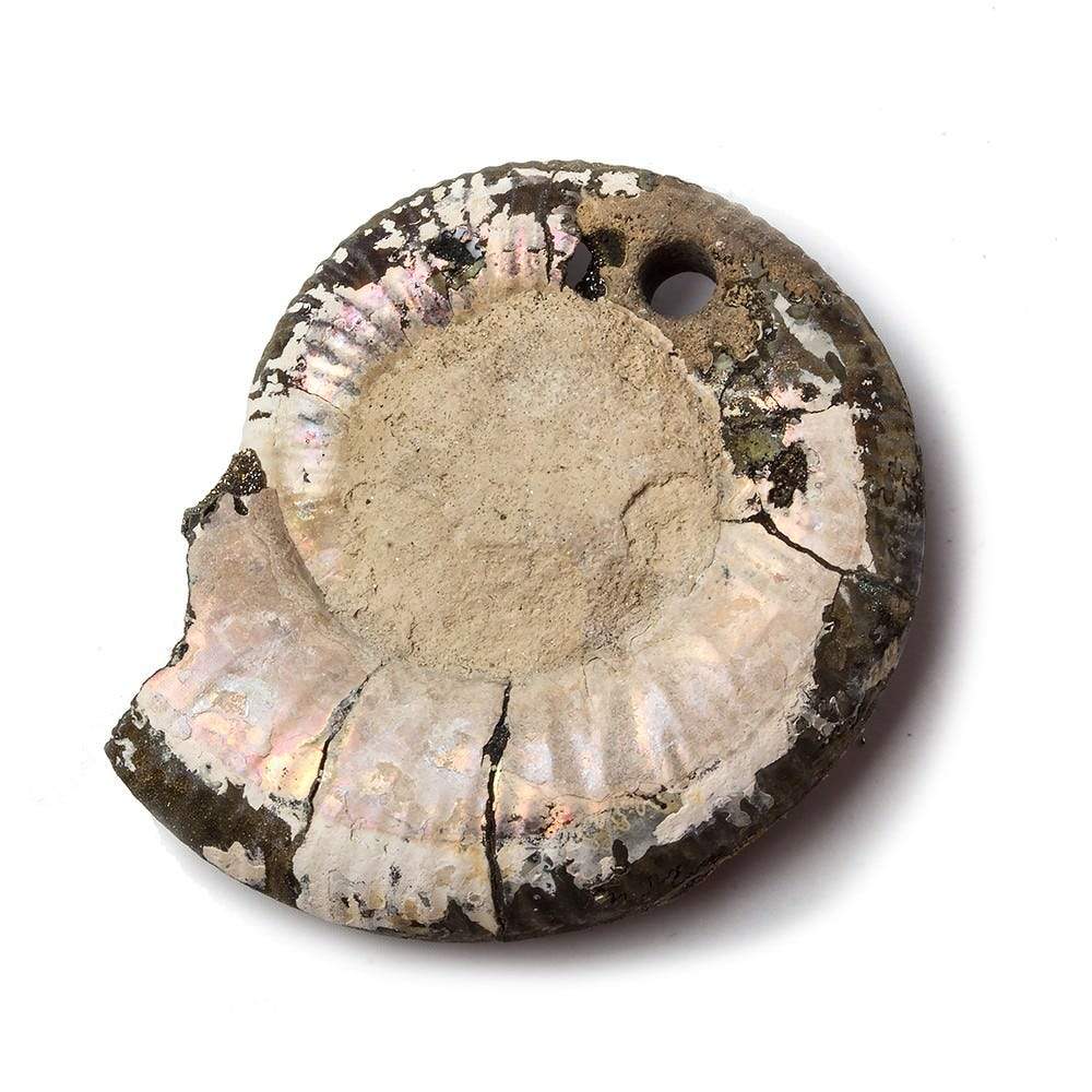 38x32mm Pyritized Ammonite Fossil Focal Bead - Beadsofcambay.com