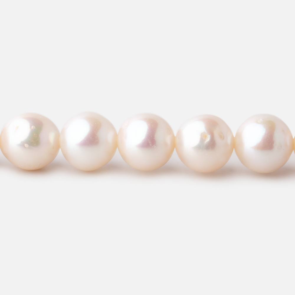 7.5-8.5mm Off White Chinese Akoya Saltwater Pearls 16 inch 53 pieces A - Beadsofcambay.com