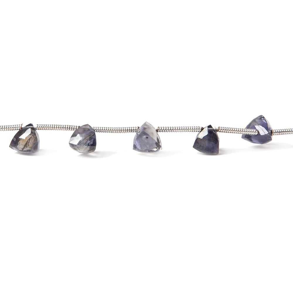 Iolite Beads Top Drilled Trillion - Beadsofcambay.com