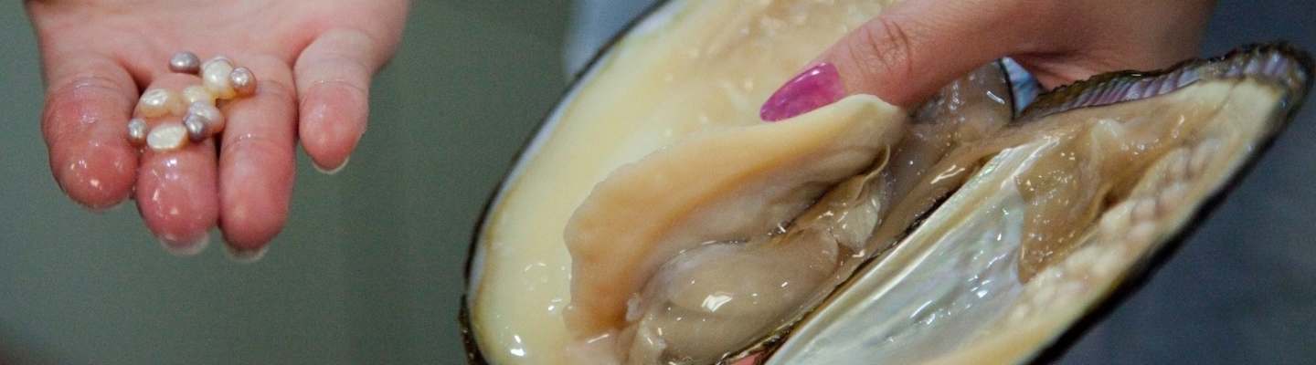 Freshwater pearls