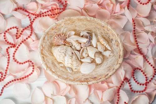 Our Favorite DIY Seashell Jewelry Making Tips and Tricks - Beadsofcambay.com