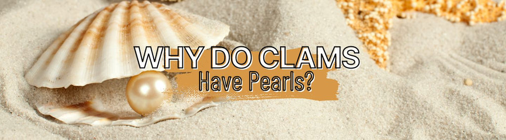 Why Do Clams Have Pearls? - Beadsofcambay.com
