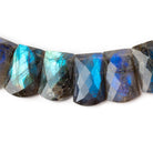 13x9 - 21x12mm Labradorite Faceted Fancy Cut Collar 36 beads - Beadsofcambay.com