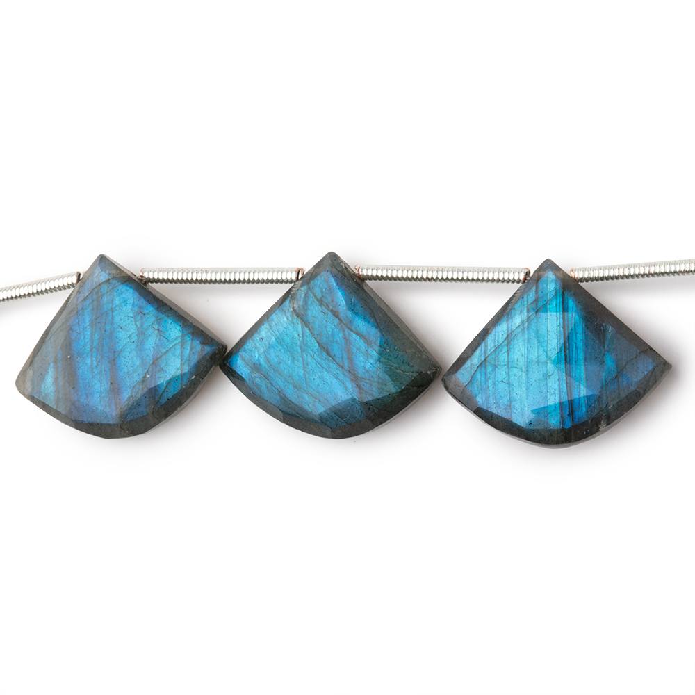 15x18 - 16x19mm Labradorite Faceted Fan Beads 7 inch 9 pieces - Beadsofcambay.com