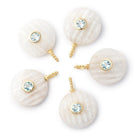 16mm Rainbow Moonstone Carved Coin with Bezel Aqua Inlay 1 Pendant - Beadsofcambay.com