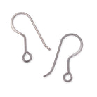 19mm Elongated Fish Hook Ear Wire 10 pieces - Beadsofcambay.com