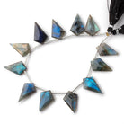 20 - 22mm Labradorite Faceted Shield Beads 7 inch 11 pieces - Beadsofcambay.com