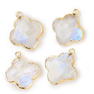 22mm Gold Leafed Rainbow Moonstone Quatrefoil 1 Pendant - Beadsofcambay.com