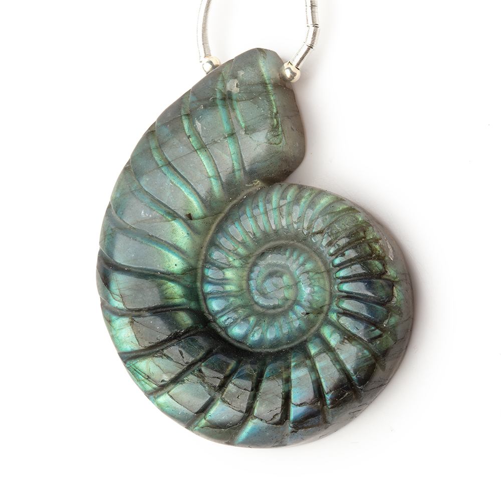 45x34mm Labradorite Carved Ammonite Shaped Focal 1 Pendant - Beadsofcambay.com