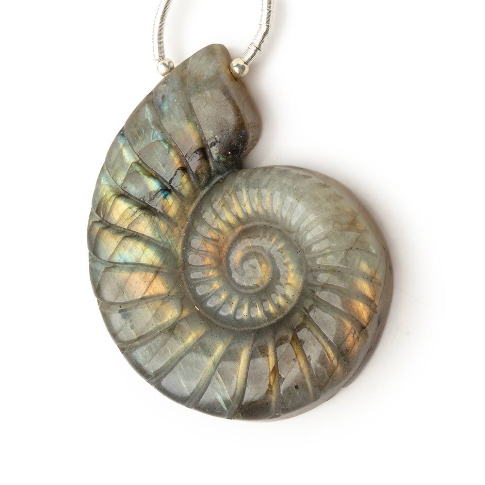 45x36mm Labradorite Carved Ammonite Shaped Focal 1 Pendant - Beadsofcambay.com
