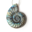 45x37mm Labradorite Carved Ammonite Shaped Focal 1 Pendant - Beadsofcambay.com