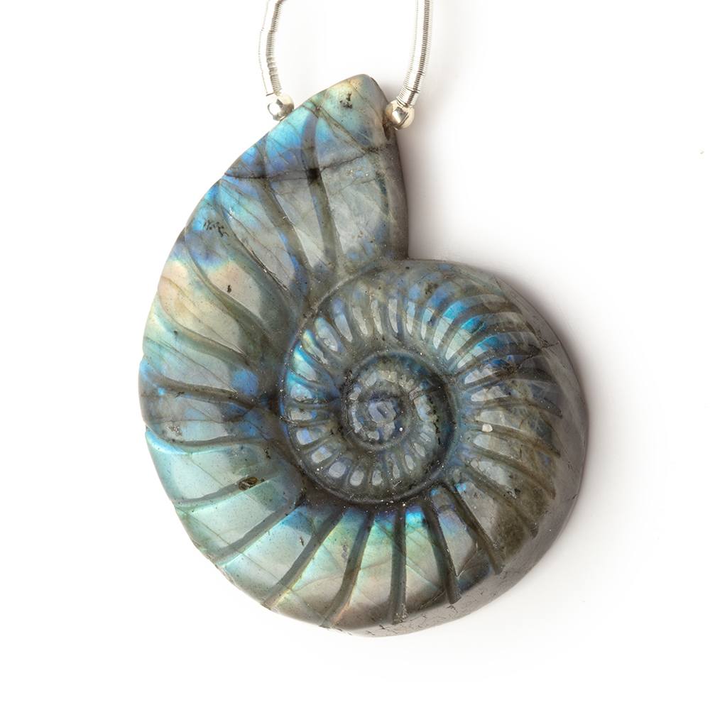 45x37mm Labradorite Carved Ammonite Shaped Focal 1 Pendant - Beadsofcambay.com