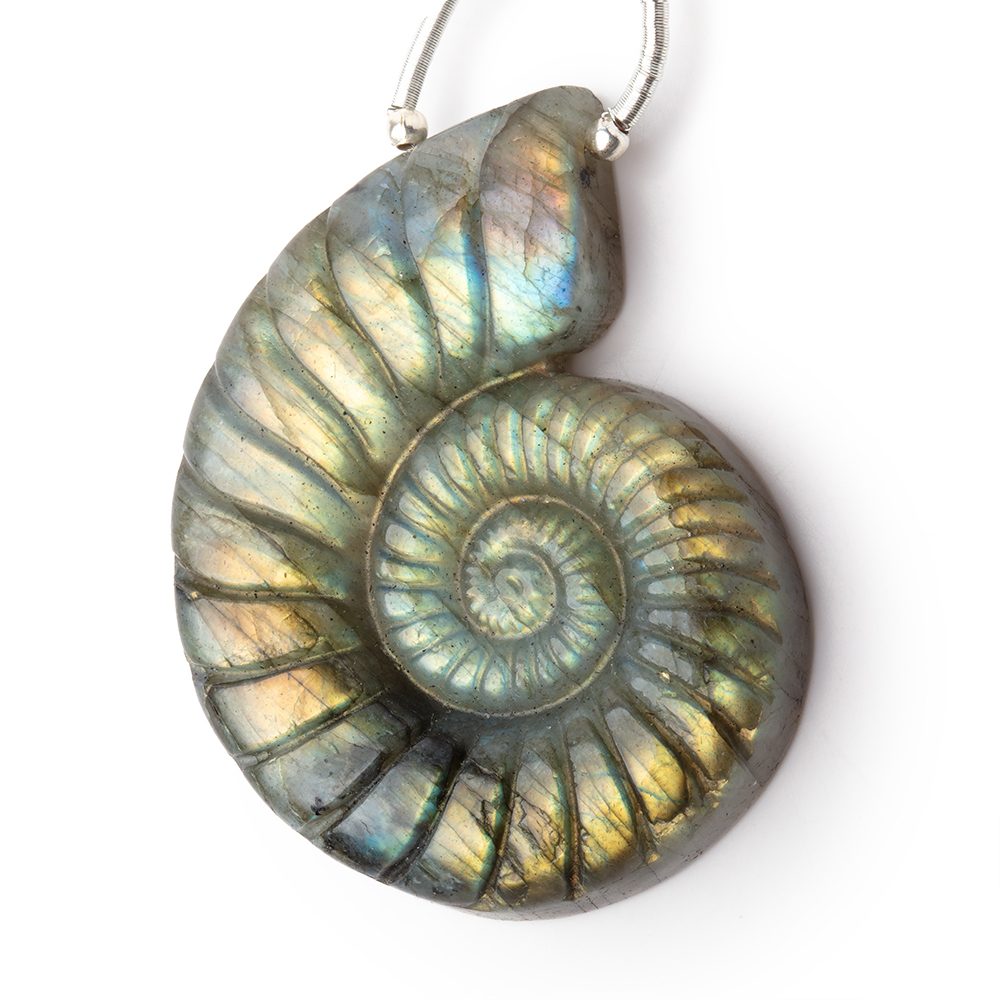 46.5x35.5mm Labradorite Carved Ammonite Shaped Focal 1 Pendant - Beadsofcambay.com