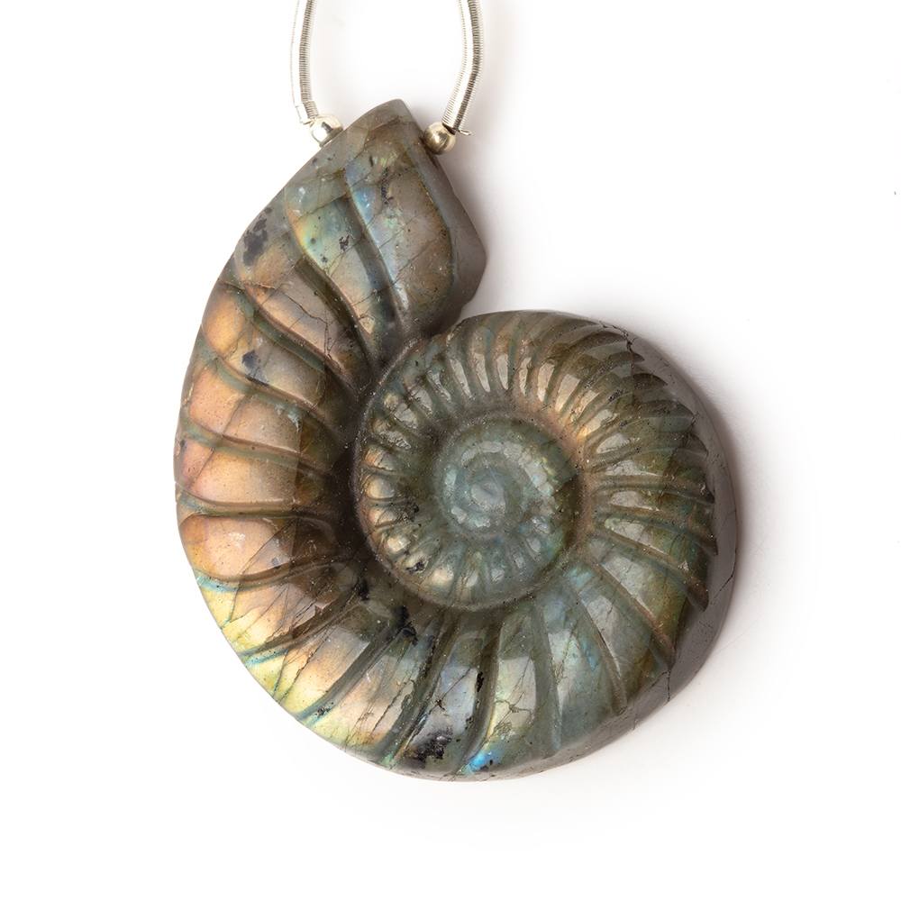 46.5x36.5mm Labradorite Carved Ammonite Shaped Focal 1 Pendant - Beadsofcambay.com