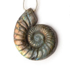 46.5x36.5mm Labradorite Carved Ammonite Shaped Focal 1 Pendant - Beadsofcambay.com