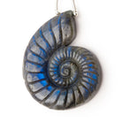 46.5x36.5mm Labradorite Carved Ammonite Shaped Pendant 1 Focal - Beadsofcambay.com