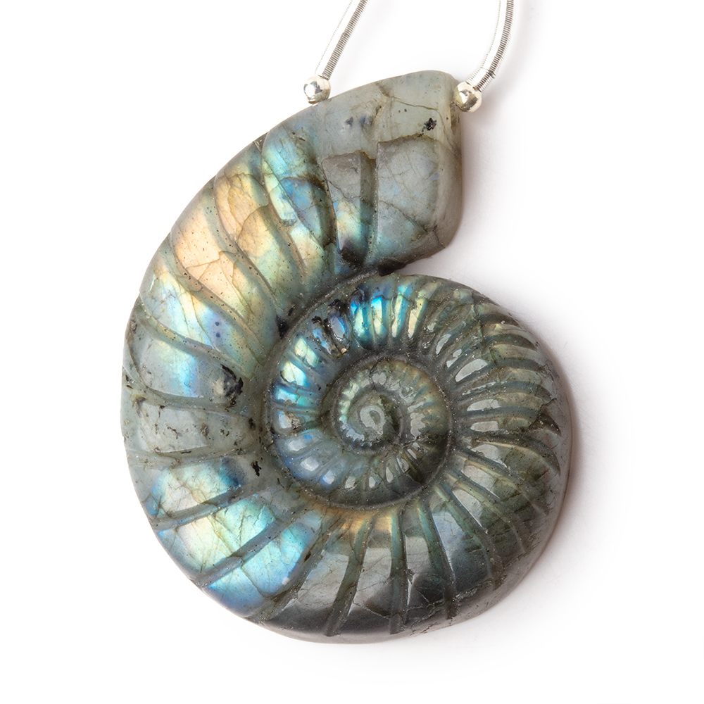 46.5x37mm Labradorite Carved Ammonite Shaped Focal 1 Pendant - Beadsofcambay.com
