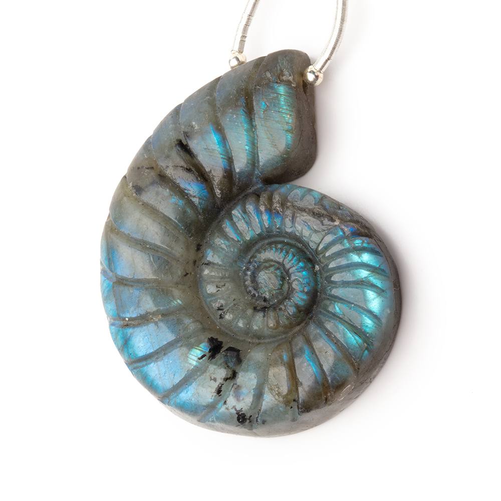 46.5x37mm Labradorite Carved Ammonite Shaped Pendant 1 piece - Beadsofcambay.com