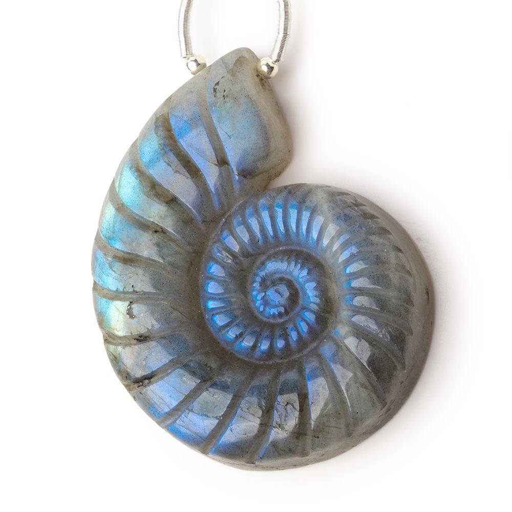 47x36mm Labradorite Carved Ammonite Shaped Focal 1 Pendant - Beadsofcambay.com