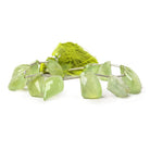 11-21mm Prehnite Top Drill Freeshape Beads 8.5 inch 15 pieces - Beadsofcambay.com