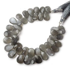 11x8-15x10mm Platinum Grey Moonstone Faceted Pear Beads 7.5 inch 43 pieces A - Beadsofcambay.com