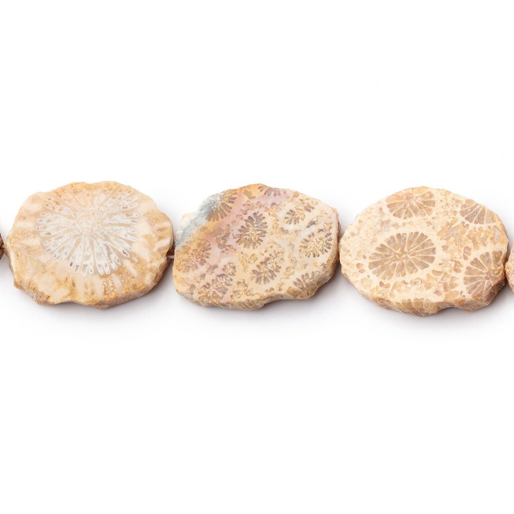 15x12mm Fossil Coral Straight Drilled Slice Beads 7.5 inch 12 pieces - Beadsofcambay.com
