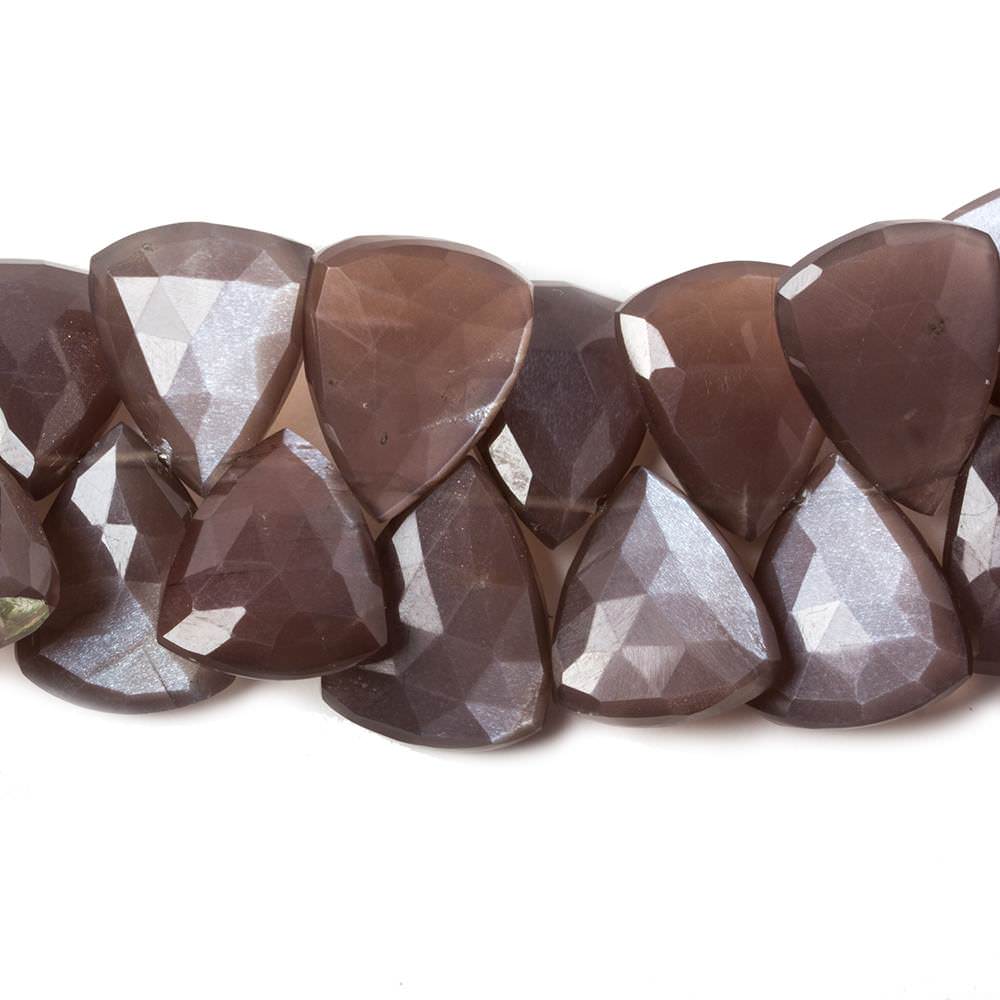 15x13-19x15mm Chocolate Moonstone faceted flat trillion beads 8 inch 36 pcs - Beadsofcambay.com