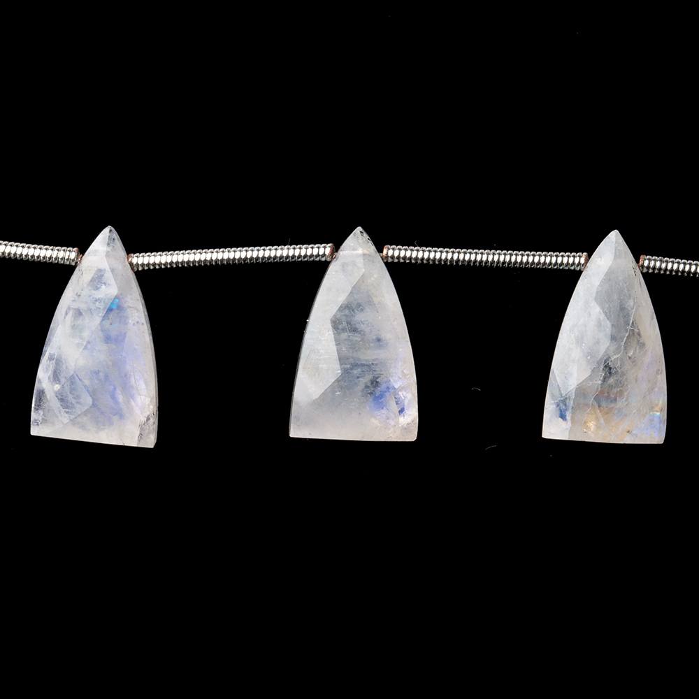 15x9mm Rainbow Moonstone Faceted Triangular Points 6.75 inch 10 Beads - Beadsofcambay.com
