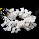 15x9mm Rainbow Moonstone Faceted Triangular Points 6.75 inch 10 Beads - Beadsofcambay.com