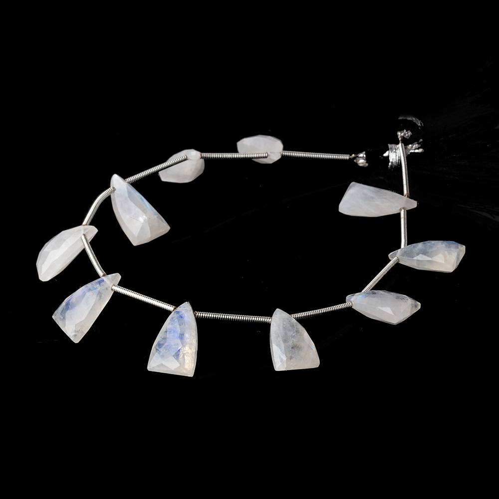15x9mm Rainbow Moonstone Faceted Triangular Points 6.75 inch 10 Beads - Beadsofcambay.com