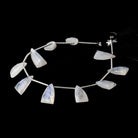 15x9mm Rainbow Moonstone Faceted Triangular Points 6.75 inch 10 Beads - Beadsofcambay.com