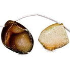 17x10-30x22mm Tortoise Shell Agate Drusy Freeform Beads 11 pieces - Beadsofcambay.com