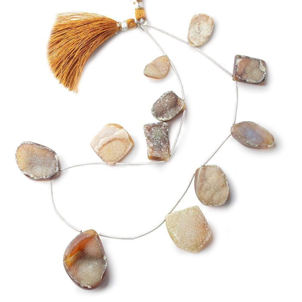 17x10-30x22mm Tortoise Shell Agate Drusy Freeform Beads 11 pieces - Beadsofcambay.com
