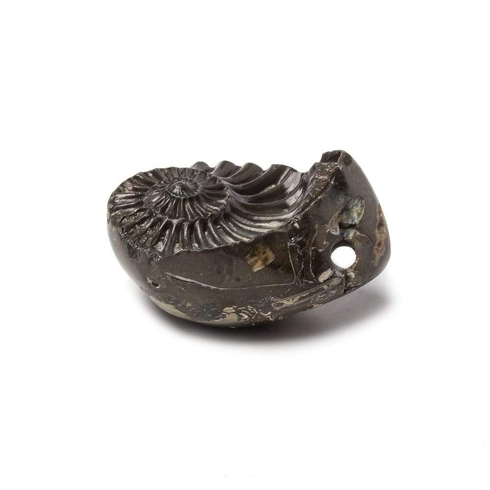 17x26mm Pyritized Ammonite Fossil Focal Bead - Beadsofcambay.com