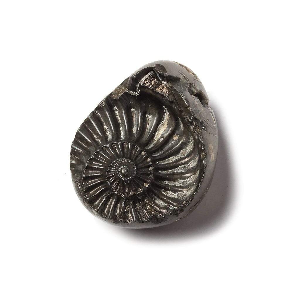 17x26mm Pyritized Ammonite Fossil Focal Bead - Beadsofcambay.com