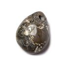 17x26mm Pyritized Ammonite Fossil Focal Bead - Beadsofcambay.com