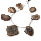 18x16-36x36mm Tri-Color Brown Drusy Freeform Beads 7 inch 7 pieces - Beadsofcambay.com