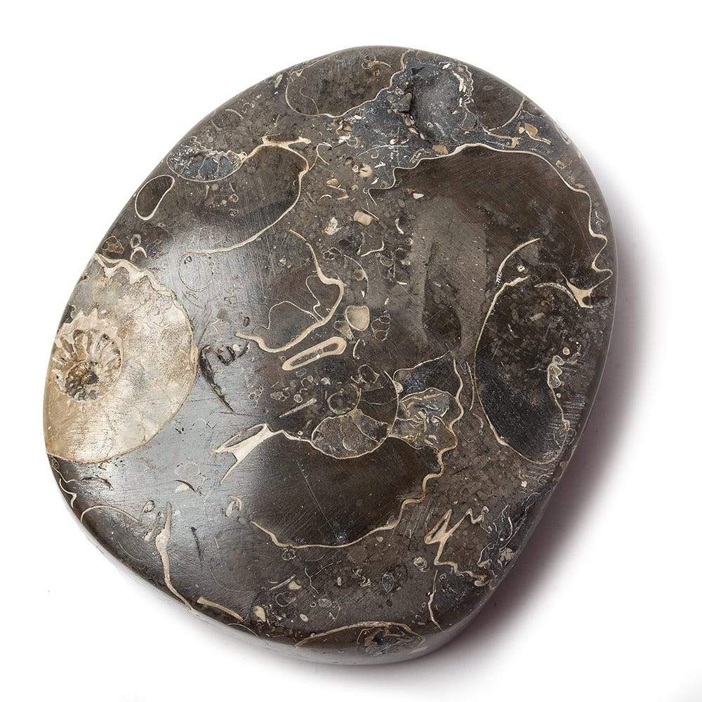 18x39mm Pyritized Ammonite Fossil Focal Bead - Beadsofcambay.com