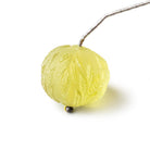 19x17mm Lemon Quartz Hand Carved Focal Bead 1 Piece AAA - Beadsofcambay.com