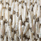 19x4mm White Biwa Pearl Black Gold .925 Silver Chain by the foot 11 pcs - Beadsofcambay.com