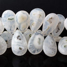20.5x15-26x16mm Solar Quartz Plain Pear Beads 6.5 inch 27 pieces - Beadsofcambay.com