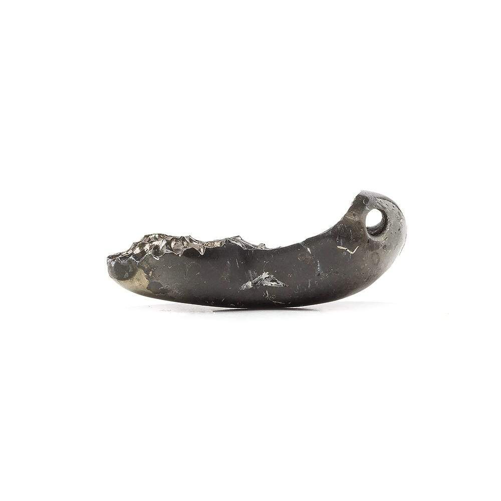 25x15mm Pyritized Ammonite Fossil Focal Bead - Beadsofcambay.com