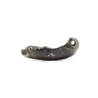 25x15mm Pyritized Ammonite Fossil Focal Bead - Beadsofcambay.com
